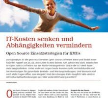 stuermer_2010_itkostensenkenundabhaengigkeitenverringern
