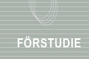 foerstudie