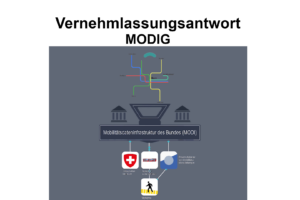 Vernehmlassungsantwort MODIG_test